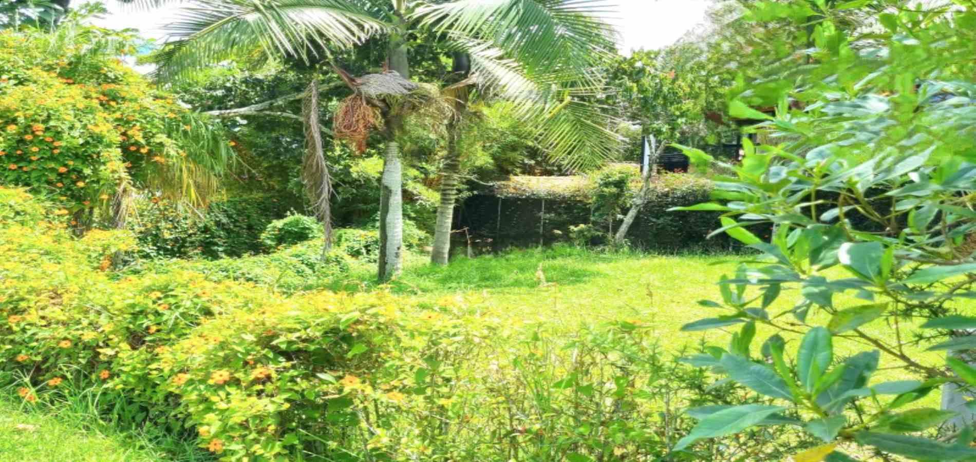 -1BR Land in Santa Elena (240 m²) for Sale - 3