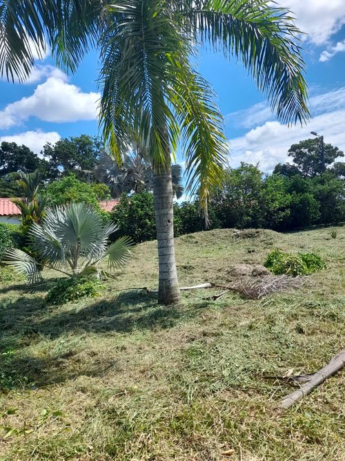 Lote en venta en Vizcaya, Villavicencio, 1384 m² · foto 2 de 9