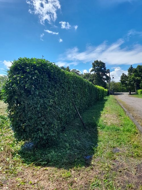Lote en venta en Vizcaya, Villavicencio, 1384 m² · foto 3 de 9