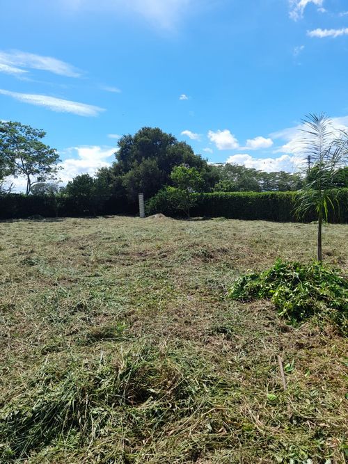 Lote en venta en Vizcaya, Villavicencio, 1384 m² · foto 7 de 9