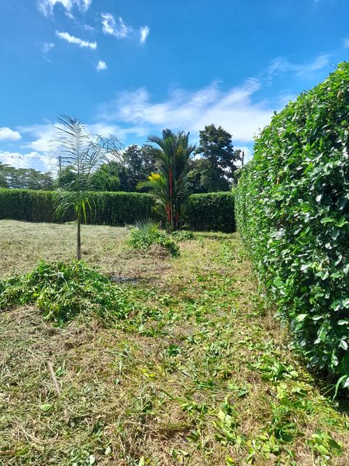 Lote en venta en Vizcaya, Villavicencio, 1384 m² · foto 9 de 9