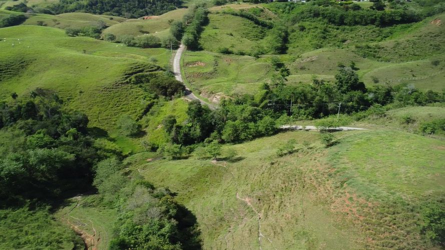 Lote en venta en Cerritos, Pereira, 10000 m² · foto 3 de 24