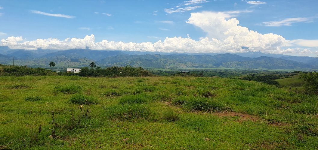 Lote en venta en Cerritos, Pereira, 10000 m² · foto 4 de 24