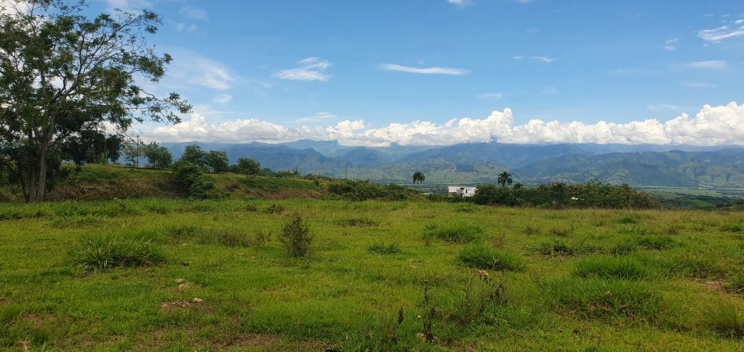 Lote en venta en Cerritos, Pereira, 10000 m² · foto 5 de 24