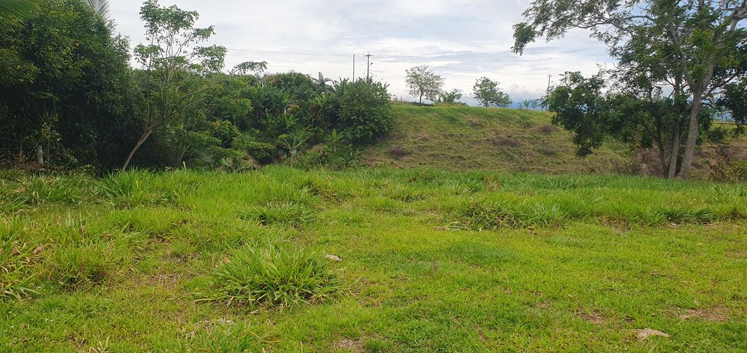 Lote en venta en Cerritos, Pereira, 10000 m² · foto 6 de 24