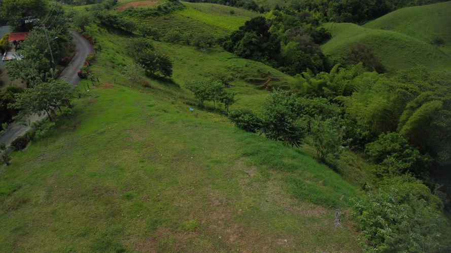 Lote en venta en Cerritos, Pereira, 10000 m² · foto 7 de 24