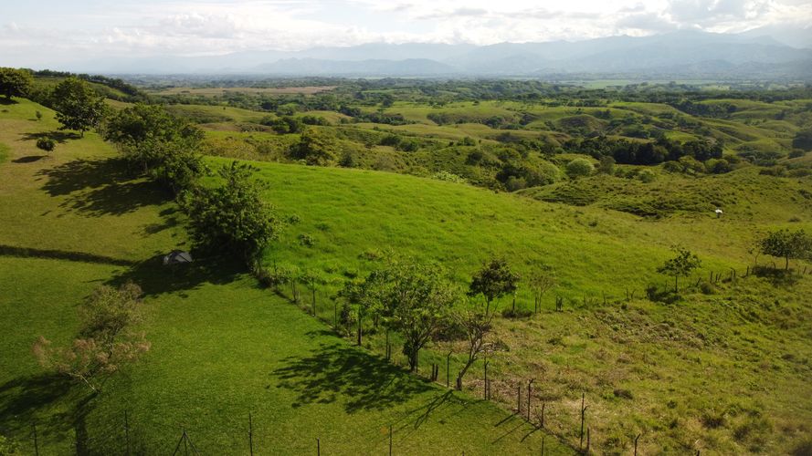 Lote en venta en Cerritos, Pereira, 10000 m² · foto 8 de 24