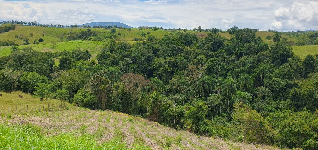 Lote en venta en Cerritos, Pereira, 10000 m² · foto 14 de 24