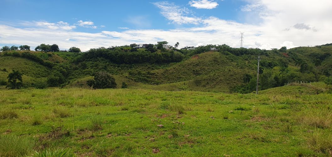 Lote en venta en Cerritos, Pereira, 10000 m² · foto 15 de 24