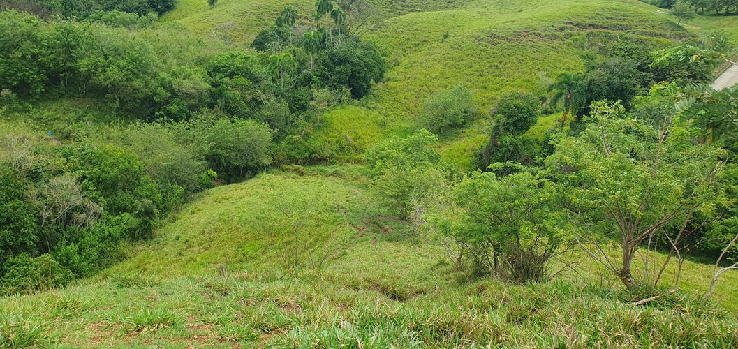 Lote en venta en Cerritos, Pereira, 10000 m² · foto 16 de 24