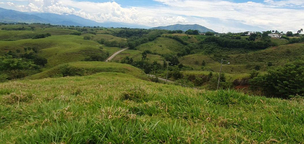 Lote en venta en Cerritos, Pereira, 10000 m² · foto 17 de 24