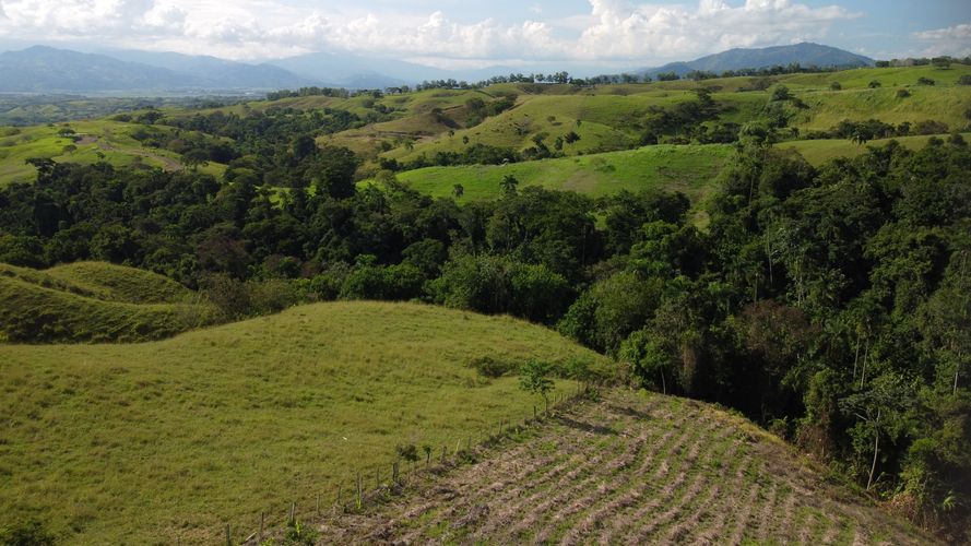 Lote en venta en Cerritos, Pereira, 10000 m² · foto 18 de 24