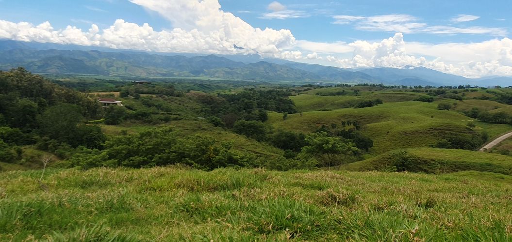 Lote en venta en Cerritos, Pereira, 10000 m² · foto 23 de 24