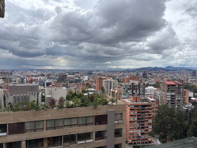 Apartamento en venta en Los Rosales, Bogotá · foto 5 de 24