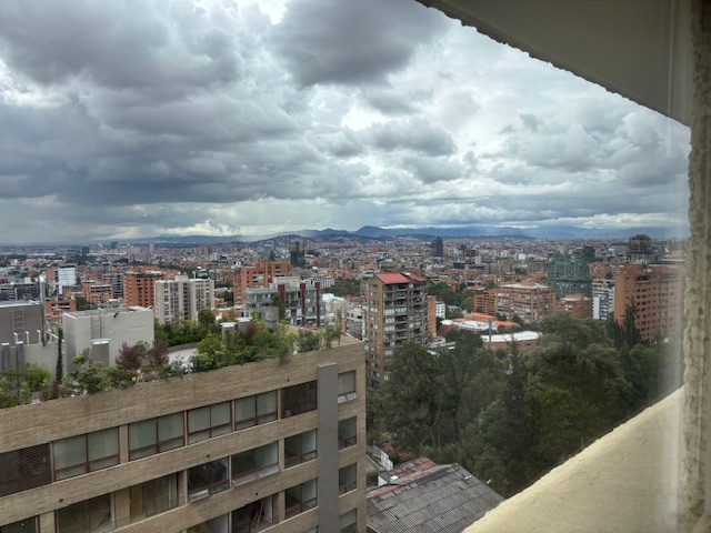 Apartamento en venta en Los Rosales, Bogotá · foto 6 de 24