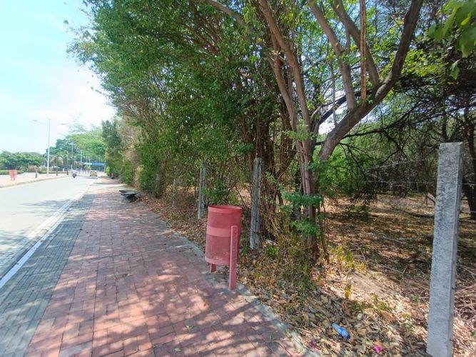 Lote en venta en Ricaurte, Ricaurte, 5887 m² · foto 7 de 18