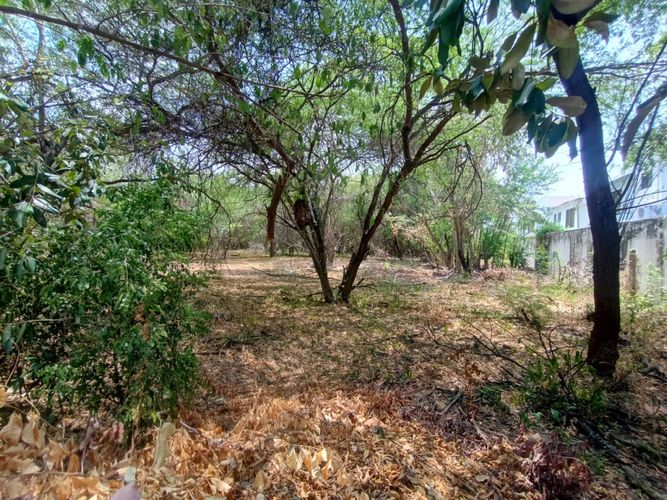 Lote en venta en Ricaurte, Ricaurte, 5887 m² · foto 8 de 18