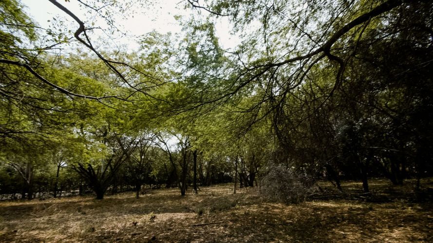 Lote en venta en Ricaurte, Ricaurte, 5887 m² · foto 10 de 18