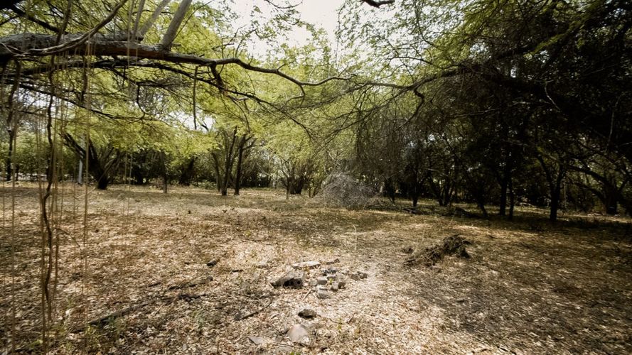 Lote en venta en Ricaurte, Ricaurte, 5887 m² · foto 13 de 18