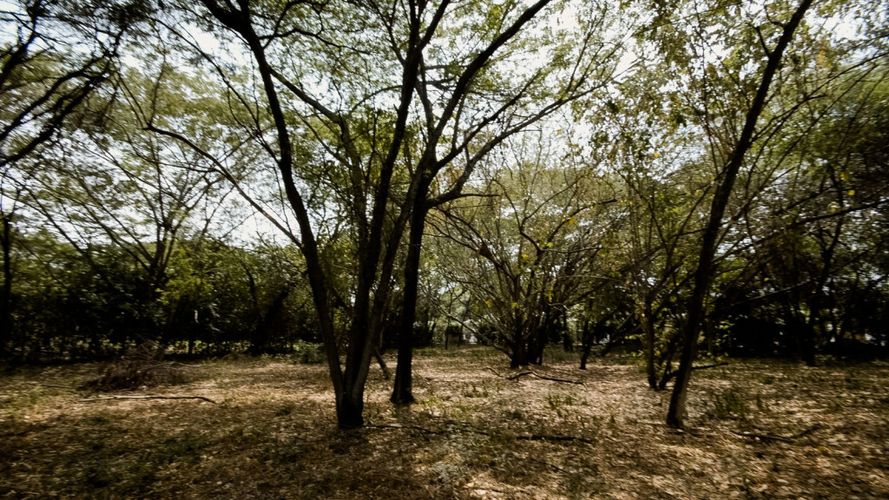 Lote en venta en Ricaurte, Ricaurte, 5887 m² · foto 17 de 18