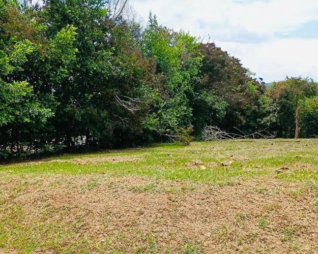 Lote en venta en Las Mercedes, Jamundí, 300 m² · foto 2 de 2