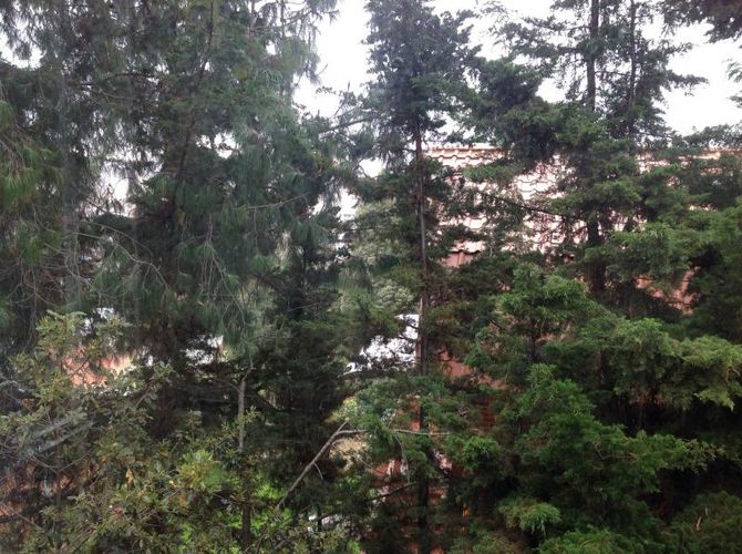 Casa en venta en Bosque De Pinos, Bogotá · foto 3 de 21