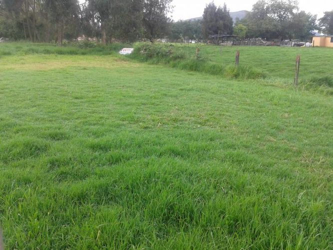 Lote en venta en La Granja, Zipaquirá, 22000 m² · foto 2 de 6