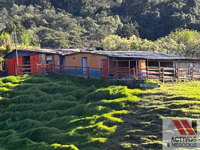 Finca en venta en El Salado, Guarne, 62900 m² · foto 2 de 19