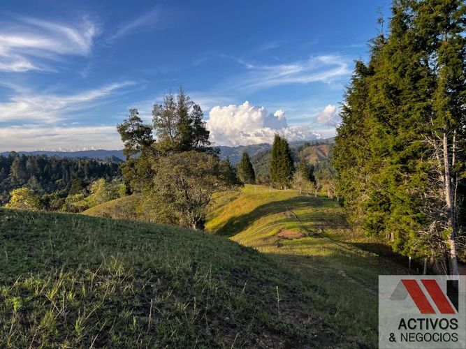 Finca en venta en El Salado, Guarne, 62900 m² · foto 6 de 19