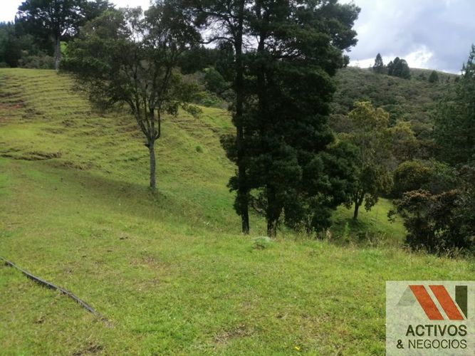 Finca en venta en El Salado, Guarne, 62900 m² · foto 8 de 19