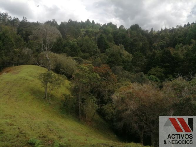 Finca en venta en El Salado, Guarne, 62900 m² · foto 9 de 19