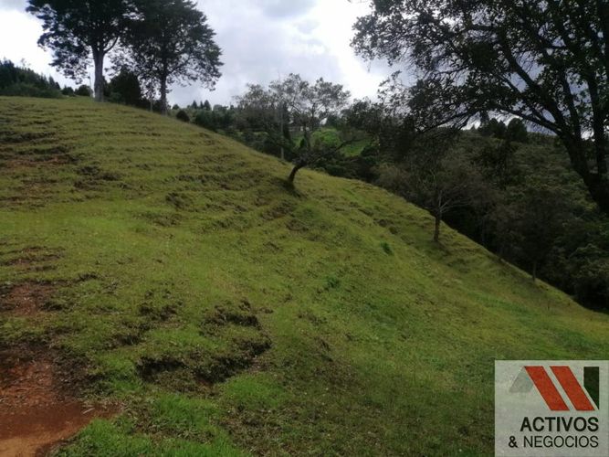 Finca en venta en El Salado, Guarne, 62900 m² · foto 12 de 19