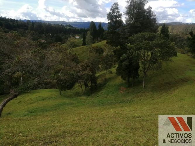 Finca en venta en El Salado, Guarne, 62900 m² · foto 13 de 19