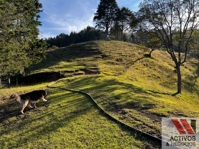 Finca en venta en El Salado, Guarne, 62900 m² · foto 14 de 19
