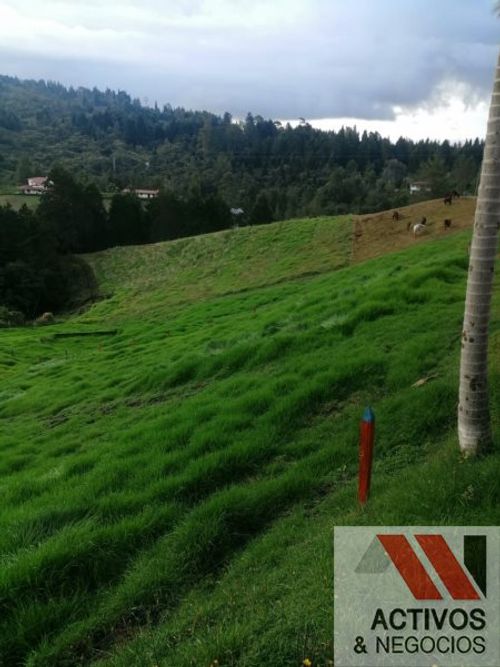 Finca en venta en El Salado, Guarne, 62900 m² · foto 17 de 19