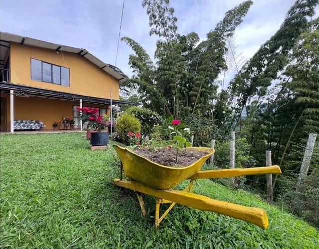 Finca en venta en Quiebra De Velez, Manizales, 1100 m² · foto 15 de 20