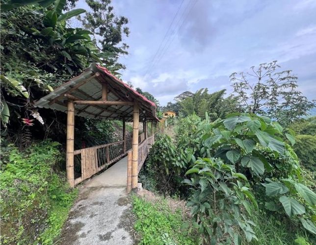 Finca en venta en Quiebra De Velez, Manizales, 1100 m² · foto 18 de 20