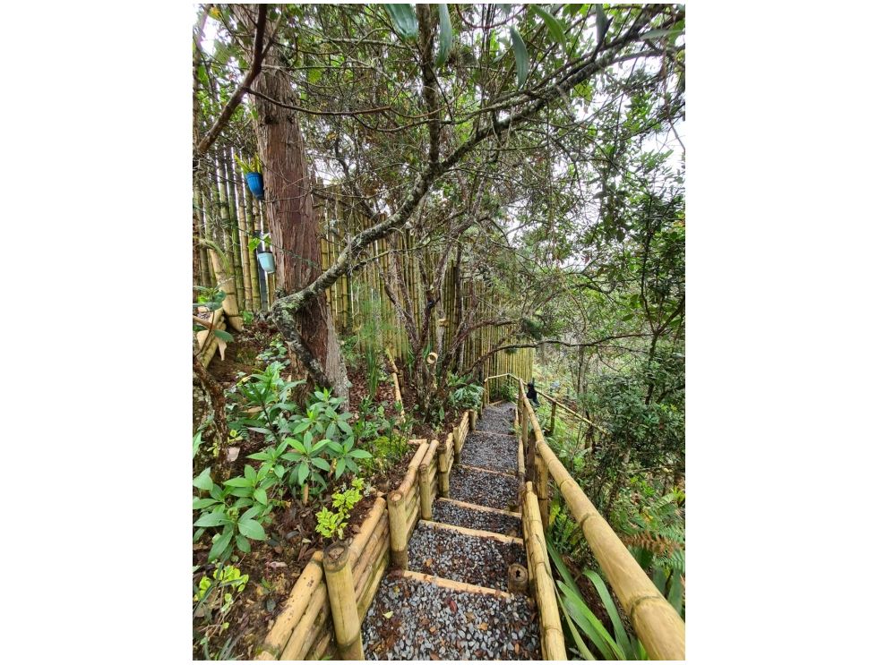 Finca en Venta en Guarne - Miniatura 18