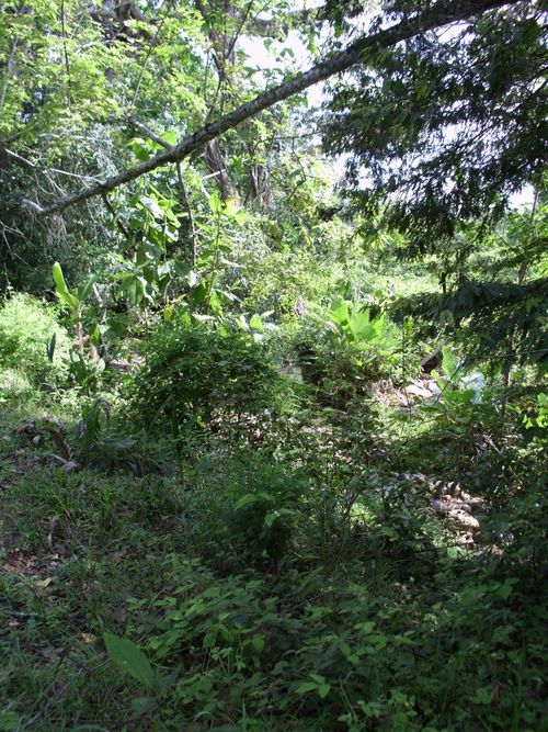 Lote en venta en Ricaurte · foto 2 de 16