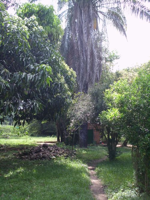 Lote en venta en Ricaurte · foto 4 de 16
