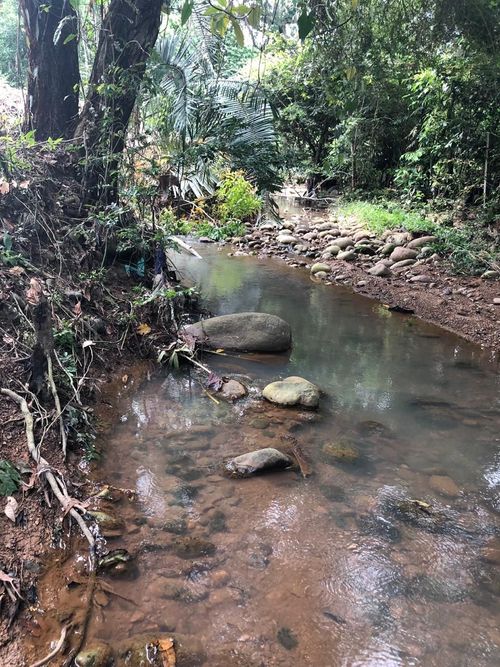 Lote en venta en Ricaurte · foto 5 de 16