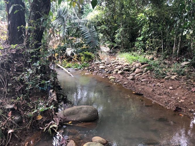 Lote en venta en Ricaurte · foto 6 de 16