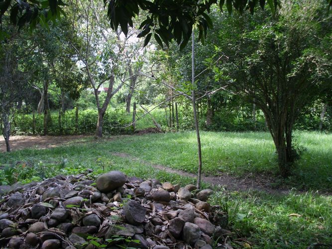 Lote en venta en Ricaurte · foto 7 de 16