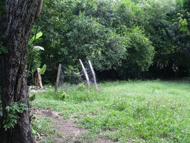 Lote en venta en Ricaurte · foto 8 de 16