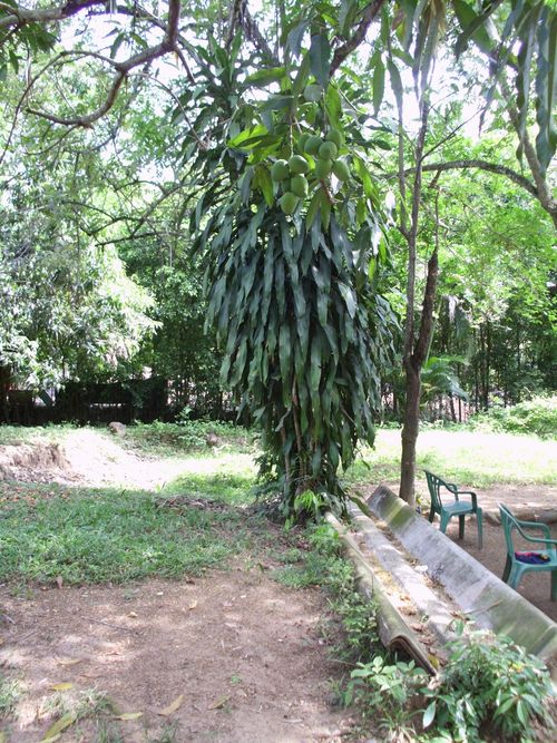 Lote en venta en Ricaurte · foto 9 de 16