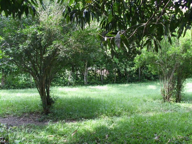 Lote en venta en Ricaurte · foto 10 de 16