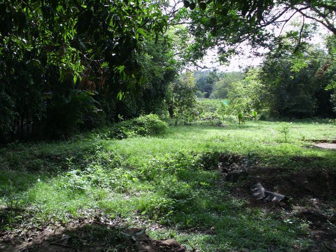 Lote en venta en Ricaurte · foto 11 de 16