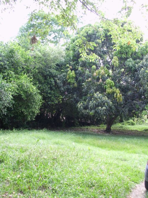 Lote en venta en Ricaurte · foto 12 de 16