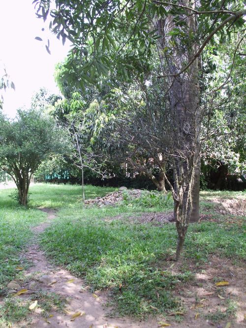 Lote en venta en Ricaurte · foto 13 de 16