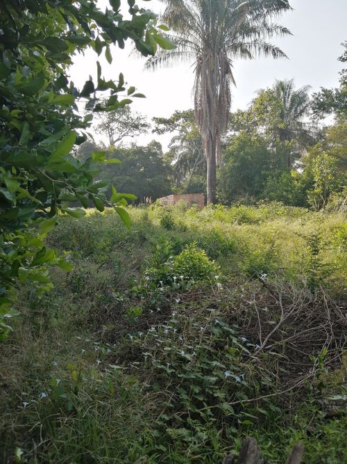 Lote en venta en Ricaurte · foto 14 de 16